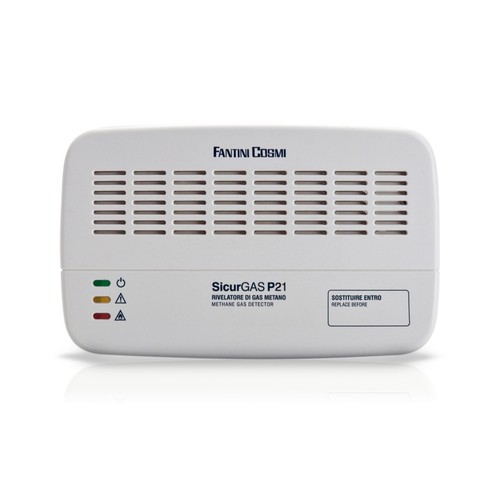 P21 rilevatore gas metano - rilevatore,